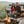 Load image into Gallery viewer, Μαντεμένια Κατσαρόλα Dutch Oven για Camping 7,57 lt – Lodge L12DCO3
